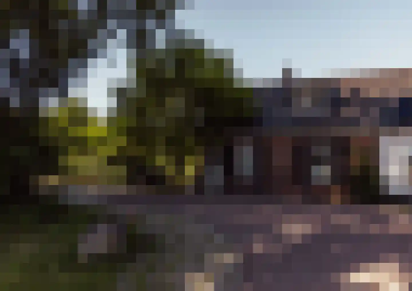 Peerenboom 7 Hank thumbnail 62