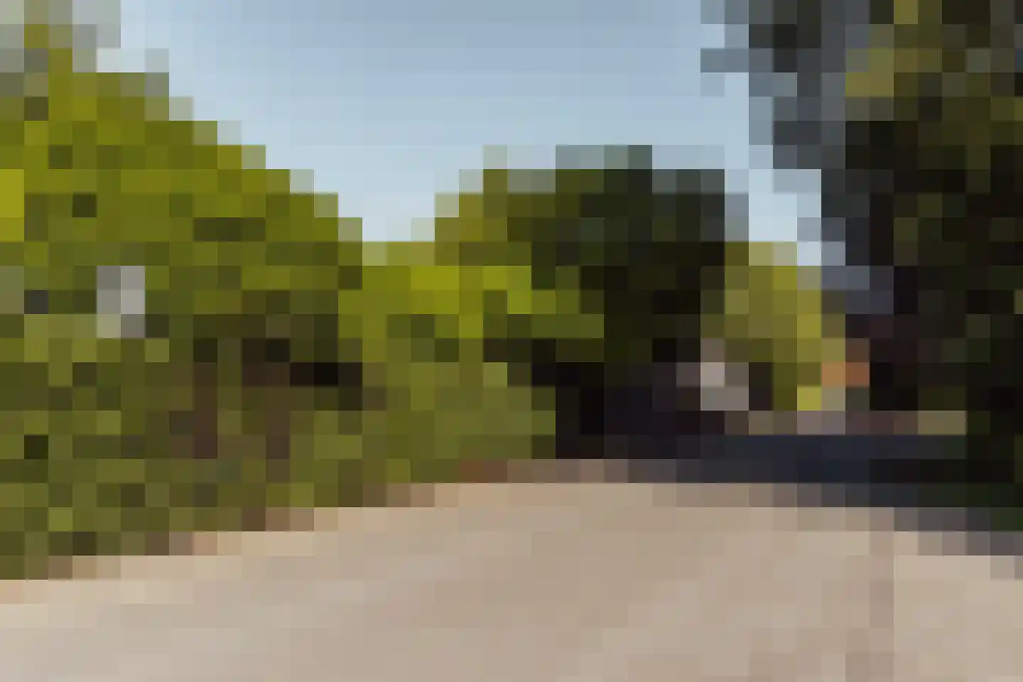 Peerenboom 7 Hank thumbnail 63