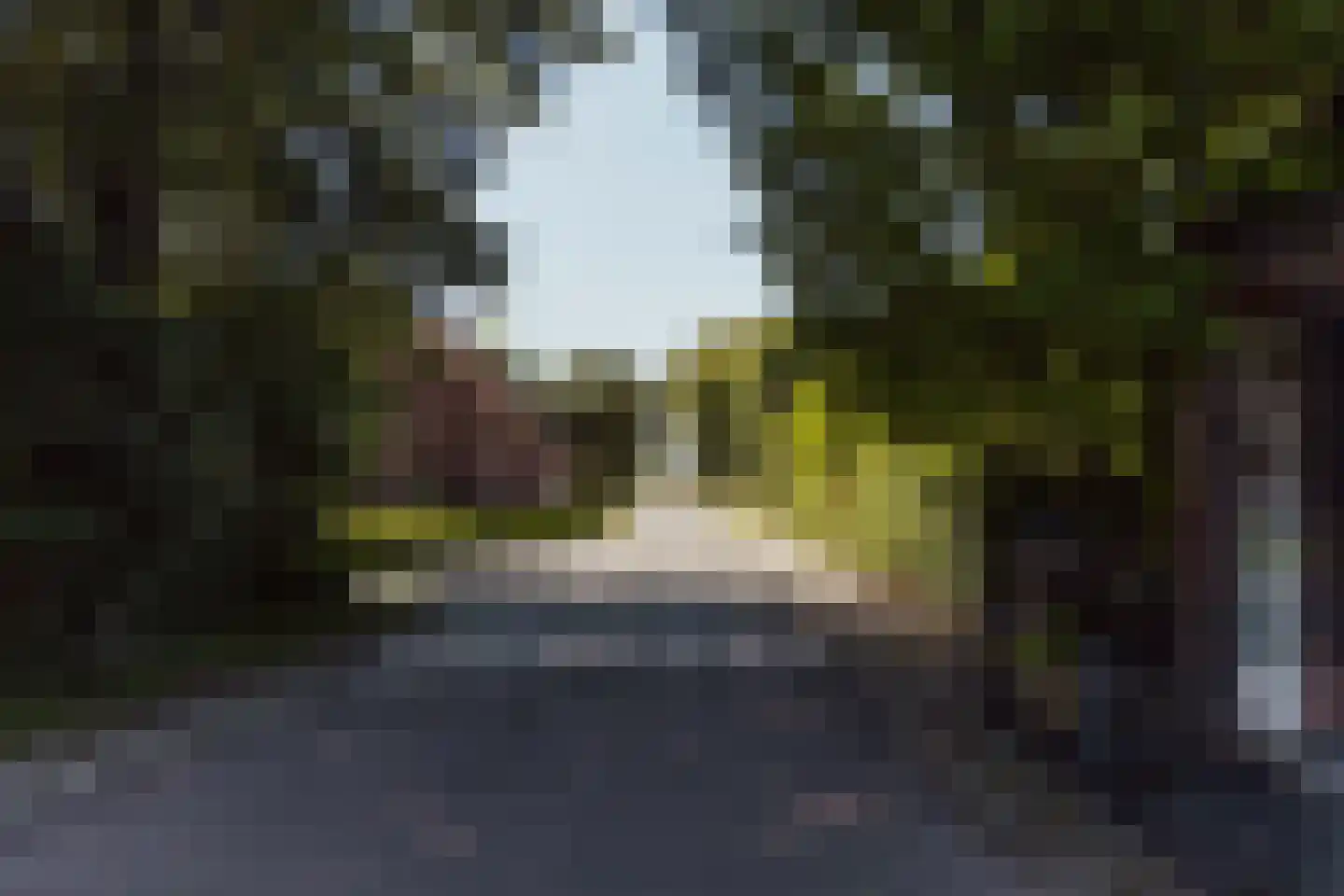Peerenboom 7 Hank thumbnail 64