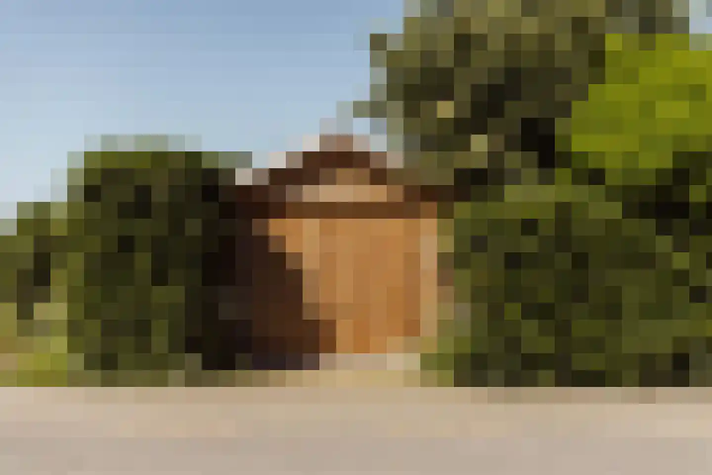 Peerenboom 7 Hank thumbnail 65