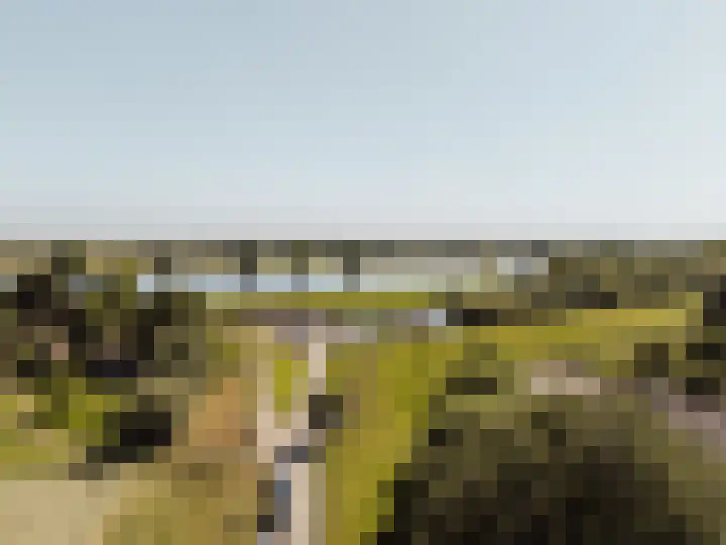 Peerenboom 7 Hank thumbnail 67
