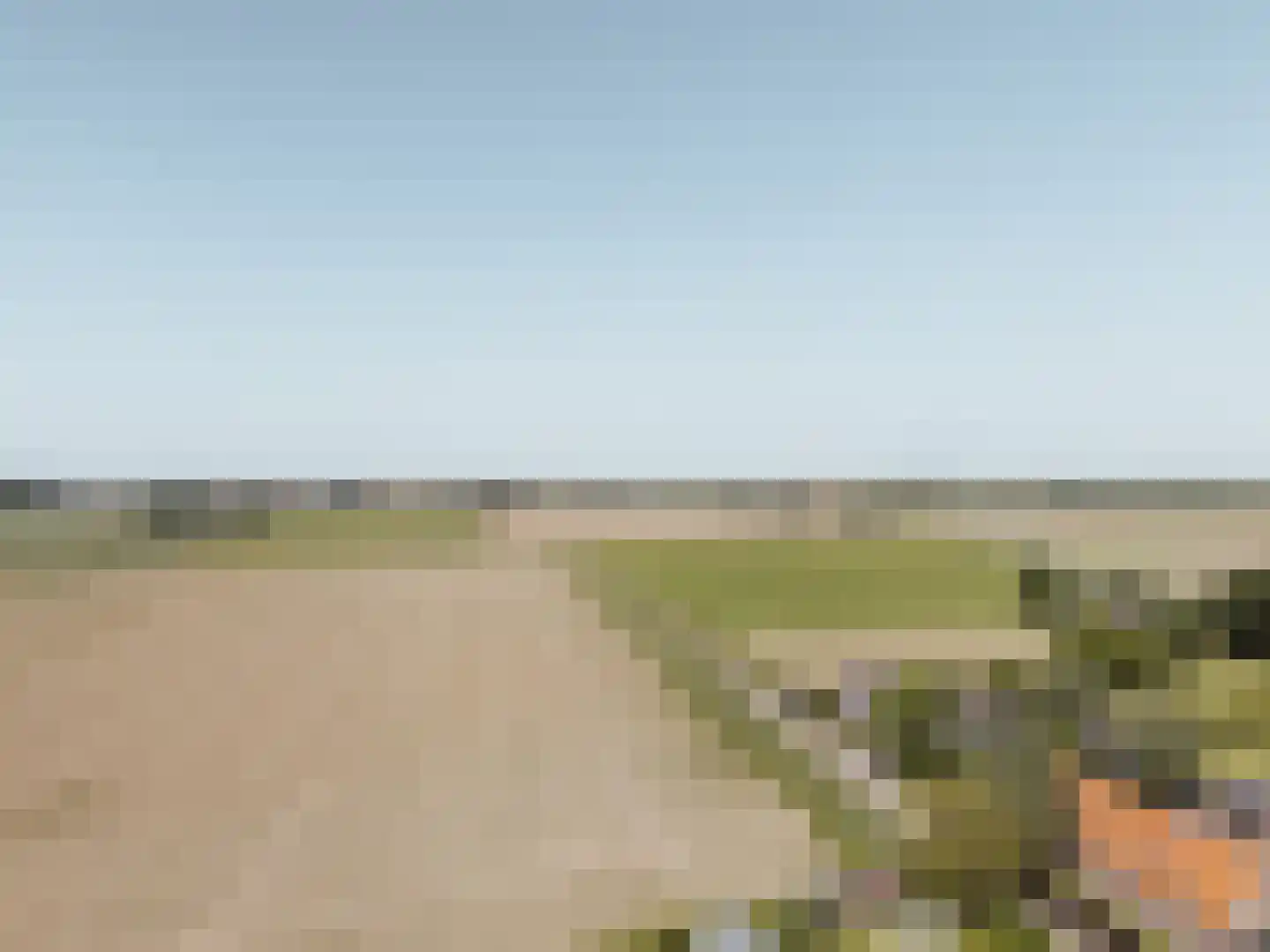 Peerenboom 7 Hank thumbnail 70