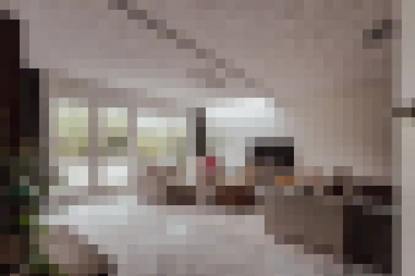 Peerenboom 7 Hank thumbnail 9