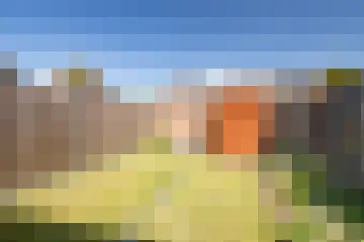 Peerhegge 13 Maastricht thumbnail 14