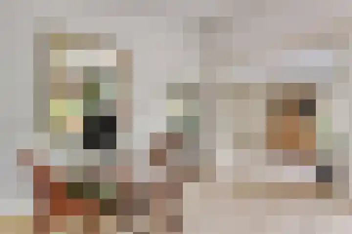 Peerlenburgh 12 Maarssen thumbnail 13