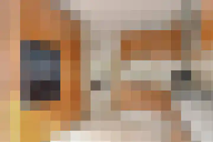 Peerlenburgh 12 Maarssen thumbnail 19