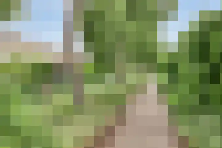Peerlenburgh 12 Maarssen thumbnail 38