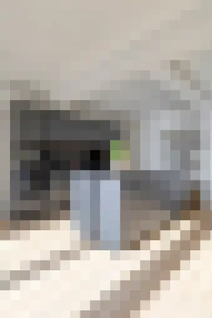 Peerlenburgh 3 Maarssen thumbnail 19