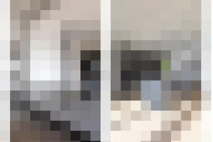 Peerlenburgh 3 Maarssen thumbnail 20