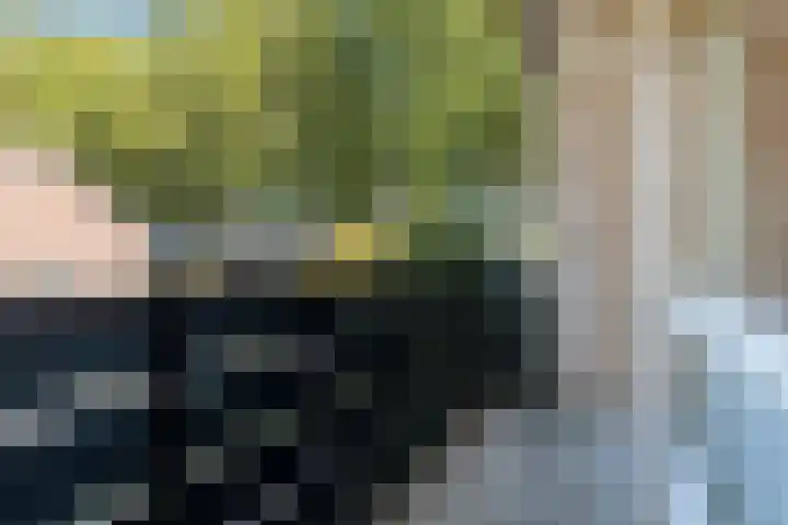 Peerlenburgh 3 Maarssen thumbnail 36