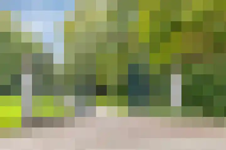 Peerlenburgh 3 Maarssen thumbnail 43