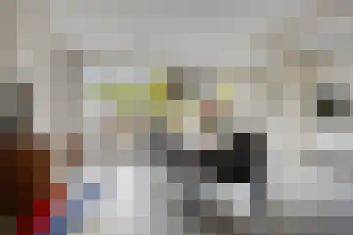 Peerlenburgh 37 Maarssen thumbnail 11
