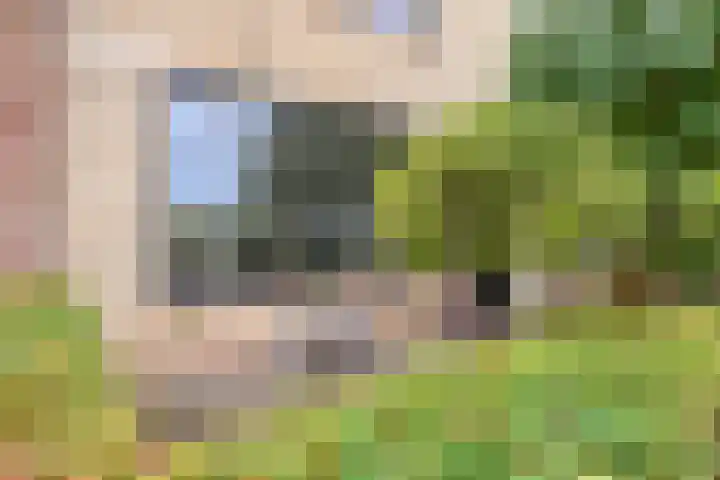 Peerlenburgh 37 Maarssen thumbnail 4