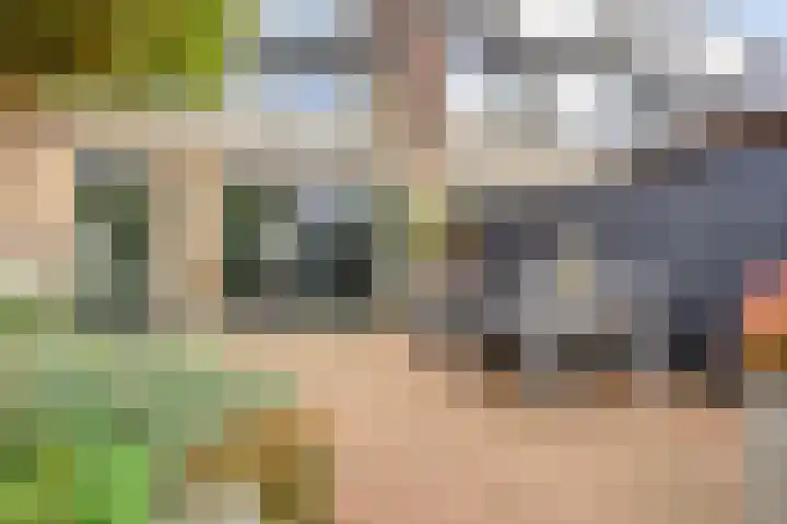 Peerlenburgh 37 Maarssen thumbnail 43