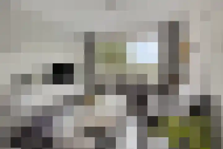 Peerlenburgh 37 Maarssen thumbnail 9