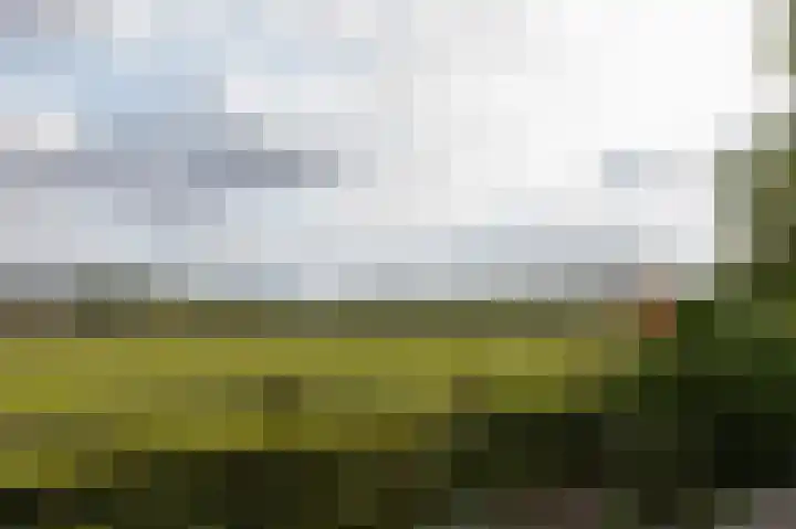 Peeskesweg 1 5 Beek thumbnail 10