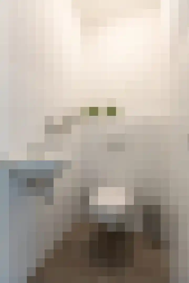 Peeskesweg 1 5 Beek thumbnail 28