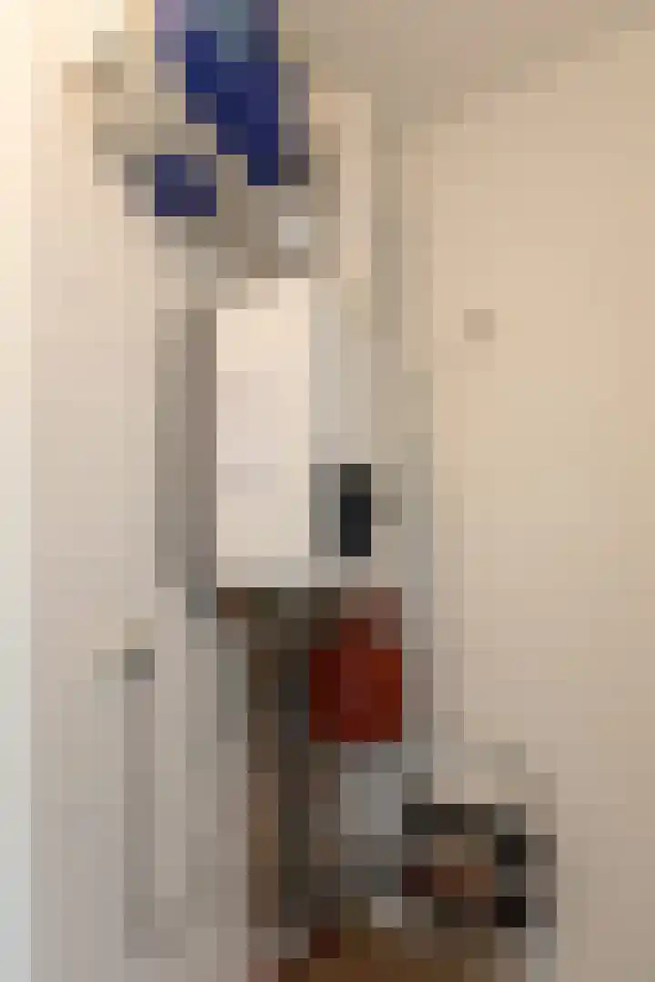 Peeskesweg 1 5 Beek thumbnail 35