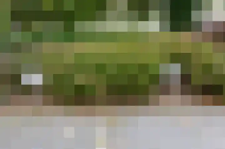 Peeskesweg 1 5 Beek thumbnail 40