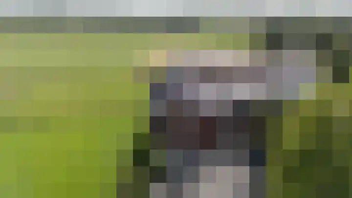 Peeskesweg 1 5 Beek thumbnail 44