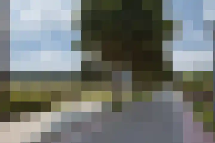 Peeskesweg 1 5 Beek thumbnail 9