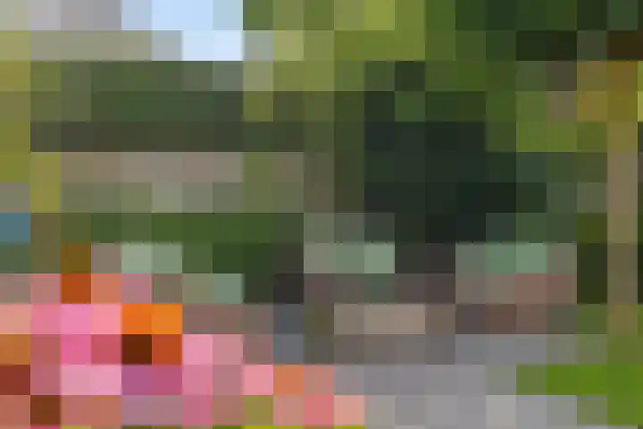Peeskesweg 18 a 's-Heerenberg thumbnail 32