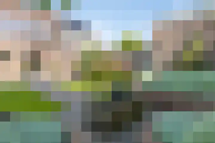 Peeskesweg 18 a 's-Heerenberg thumbnail 33