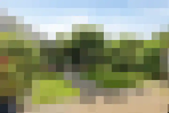 Peeskesweg 18 a 's-Heerenberg thumbnail 5