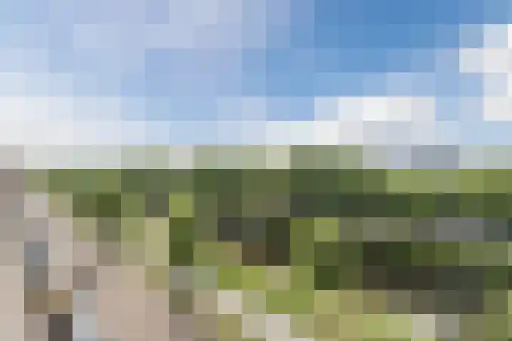 Peeskesweg 2 Beek thumbnail 16