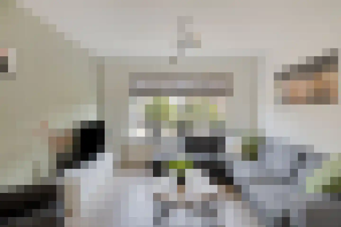 Peeskesweg 21 's-Heerenberg thumbnail 10