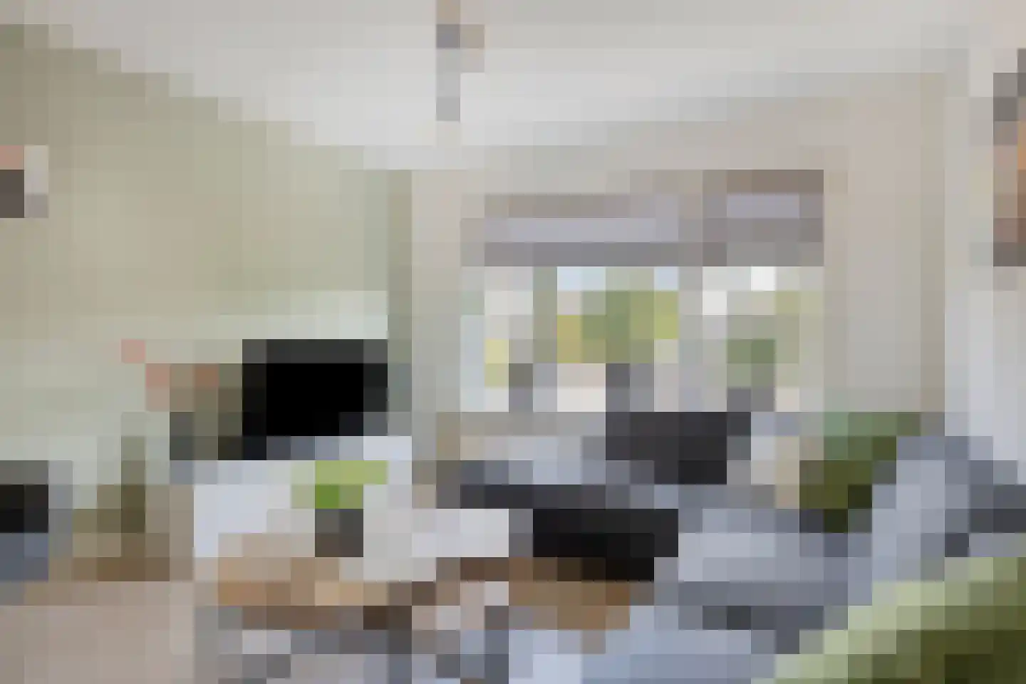 Peeskesweg 21 's-Heerenberg thumbnail 11