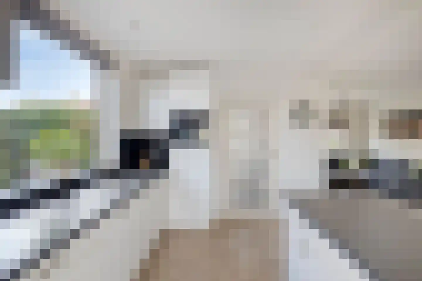 Peeskesweg 21 's-Heerenberg thumbnail 18
