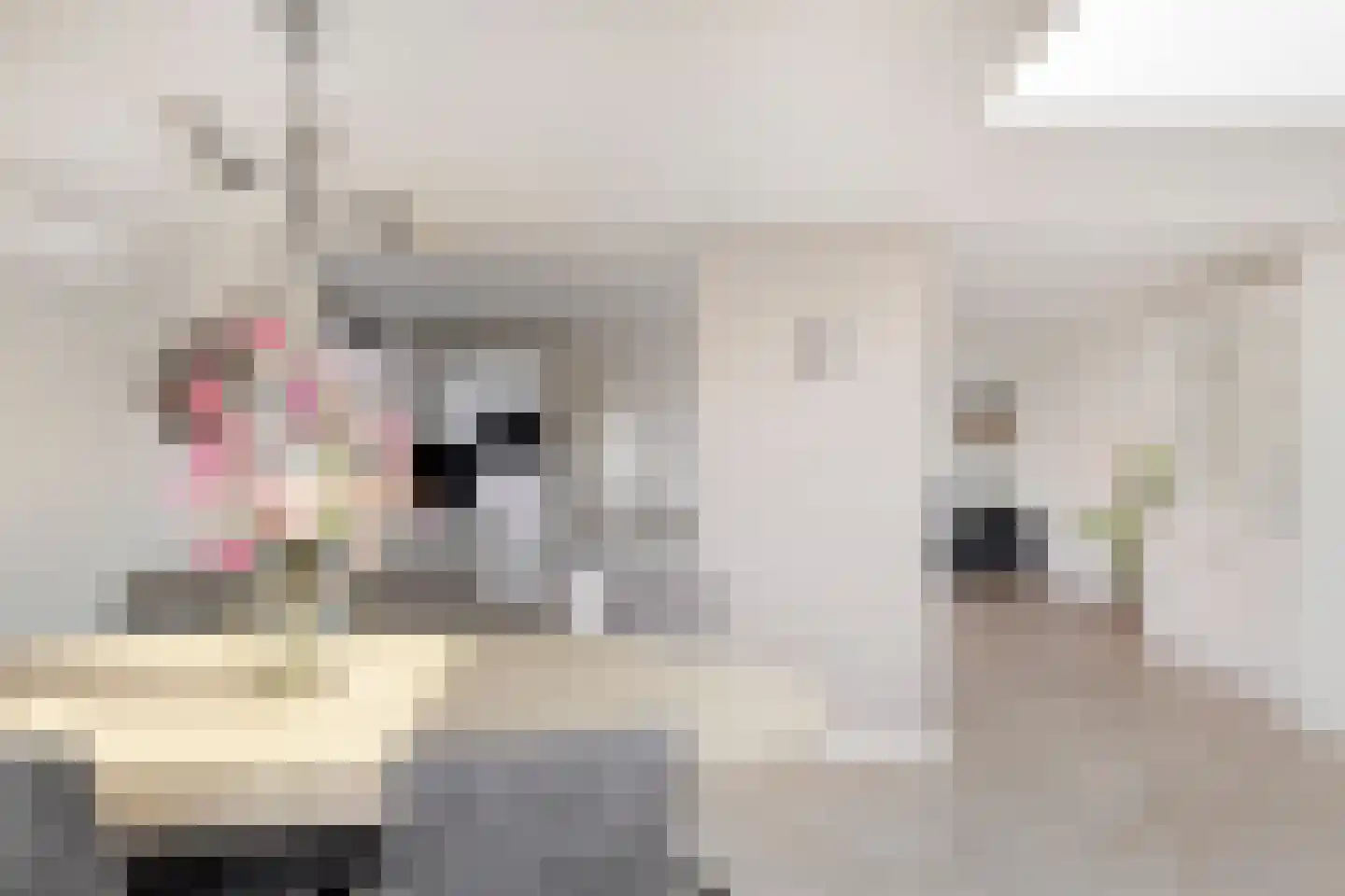 Peeskesweg 21 's-Heerenberg thumbnail 23