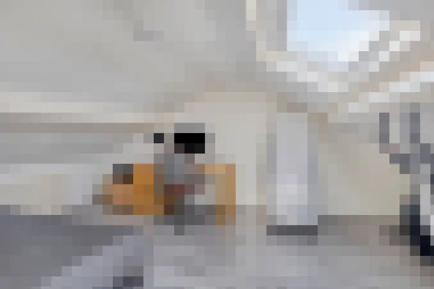 Peeskesweg 21 's-Heerenberg thumbnail 38