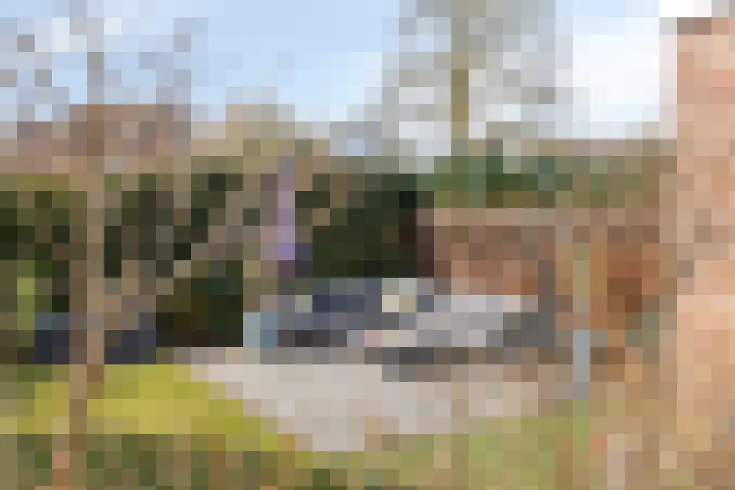 Peeskesweg 21 's-Heerenberg thumbnail 42