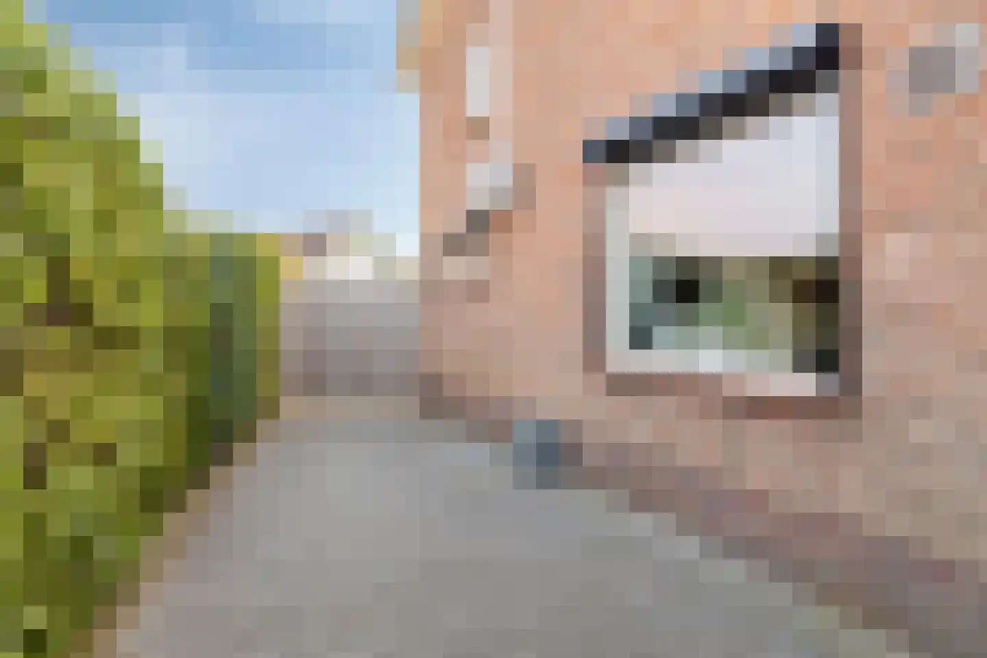 Peeskesweg 21 's-Heerenberg thumbnail 5