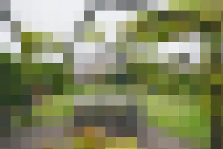 Peeskesweg 25 's-Heerenberg thumbnail 37