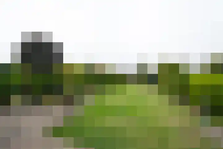 Peeskesweg 25 's-Heerenberg thumbnail 38