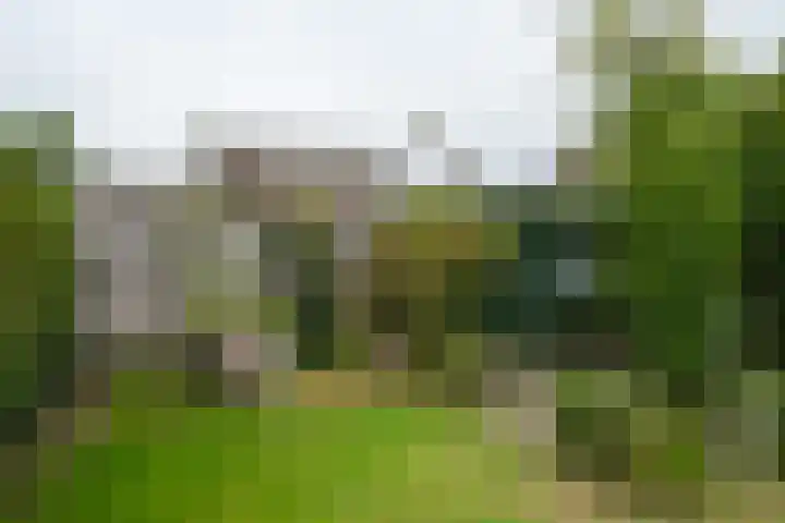 Peeskesweg 25 's-Heerenberg thumbnail 39