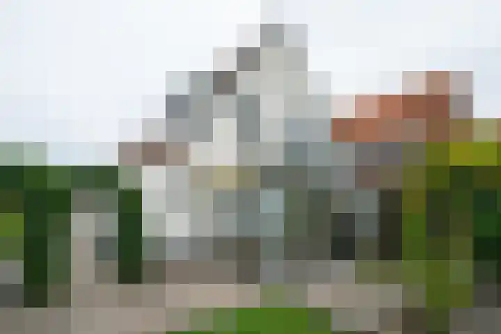 Peeskesweg 25 's-Heerenberg thumbnail 42