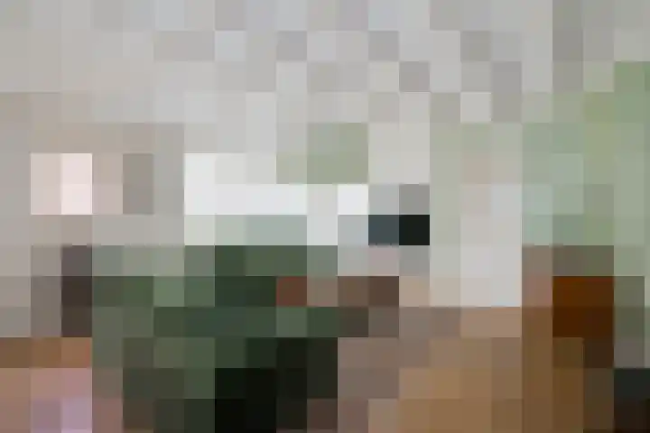 Peeskesweg 25 's-Heerenberg thumbnail 5