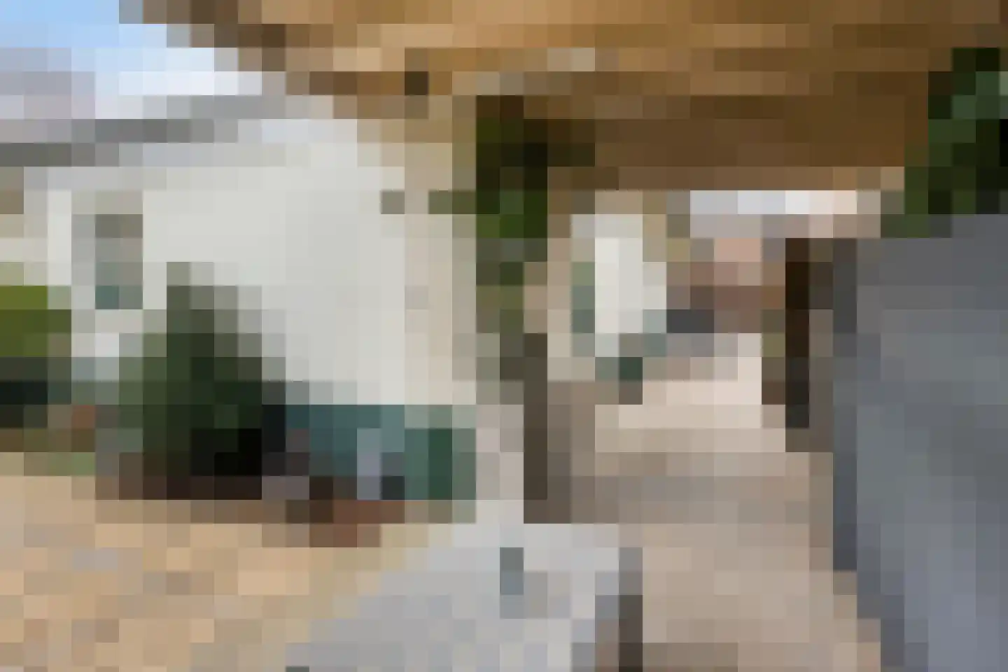 Peeskesweg 26 's-Heerenberg thumbnail 35