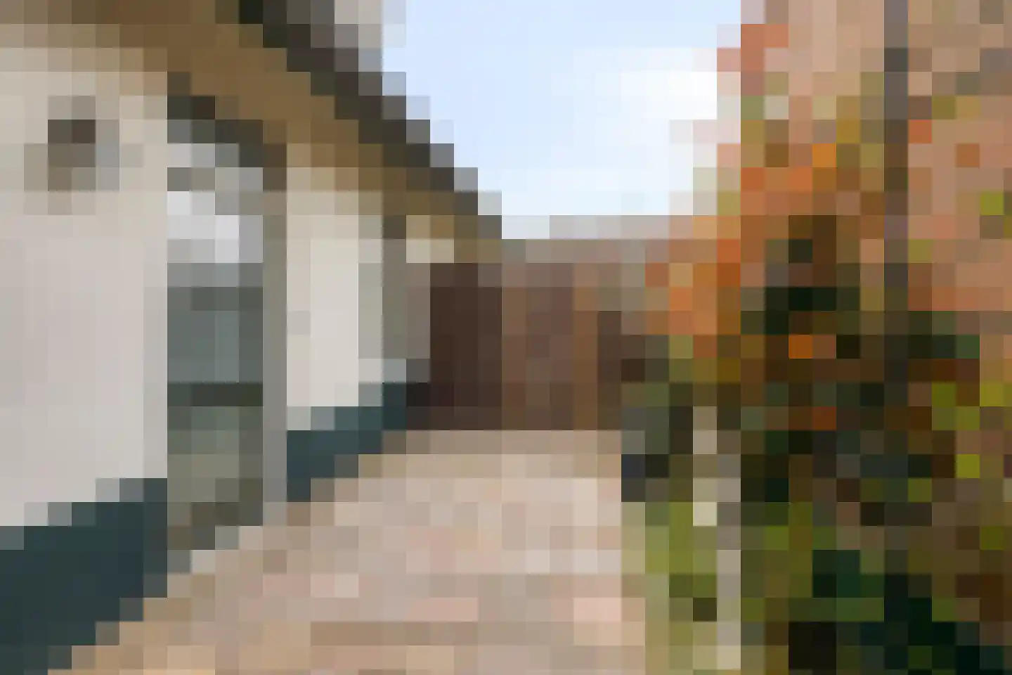 Peeskesweg 26 's-Heerenberg thumbnail 37