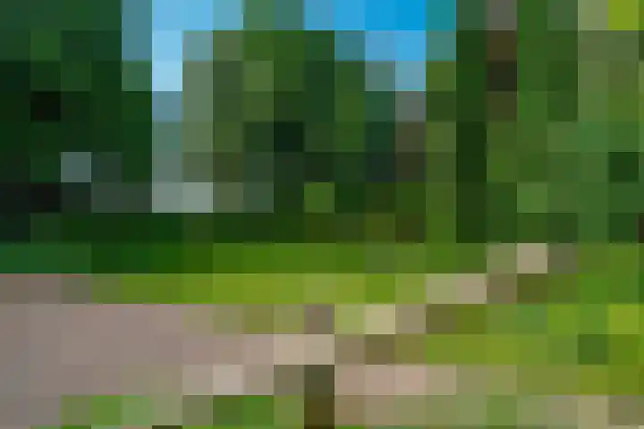Peeskesweg 6 d Beek thumbnail 25