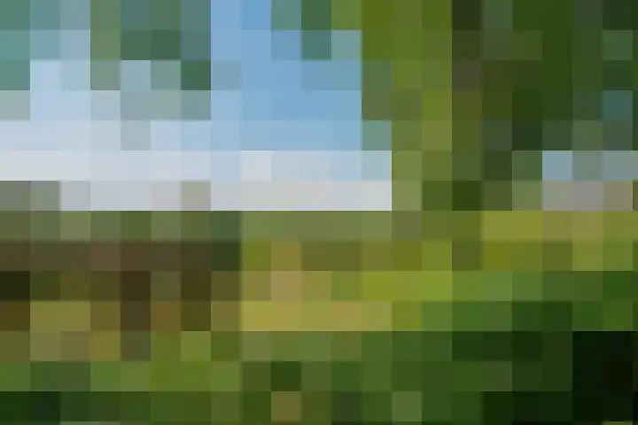 Peeskesweg 6 d Beek thumbnail 29