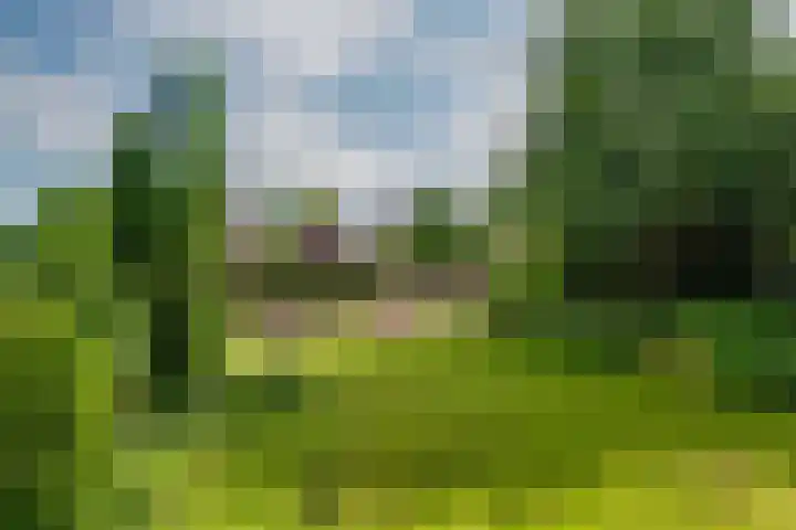 Peeskesweg 6 d Beek foto 3