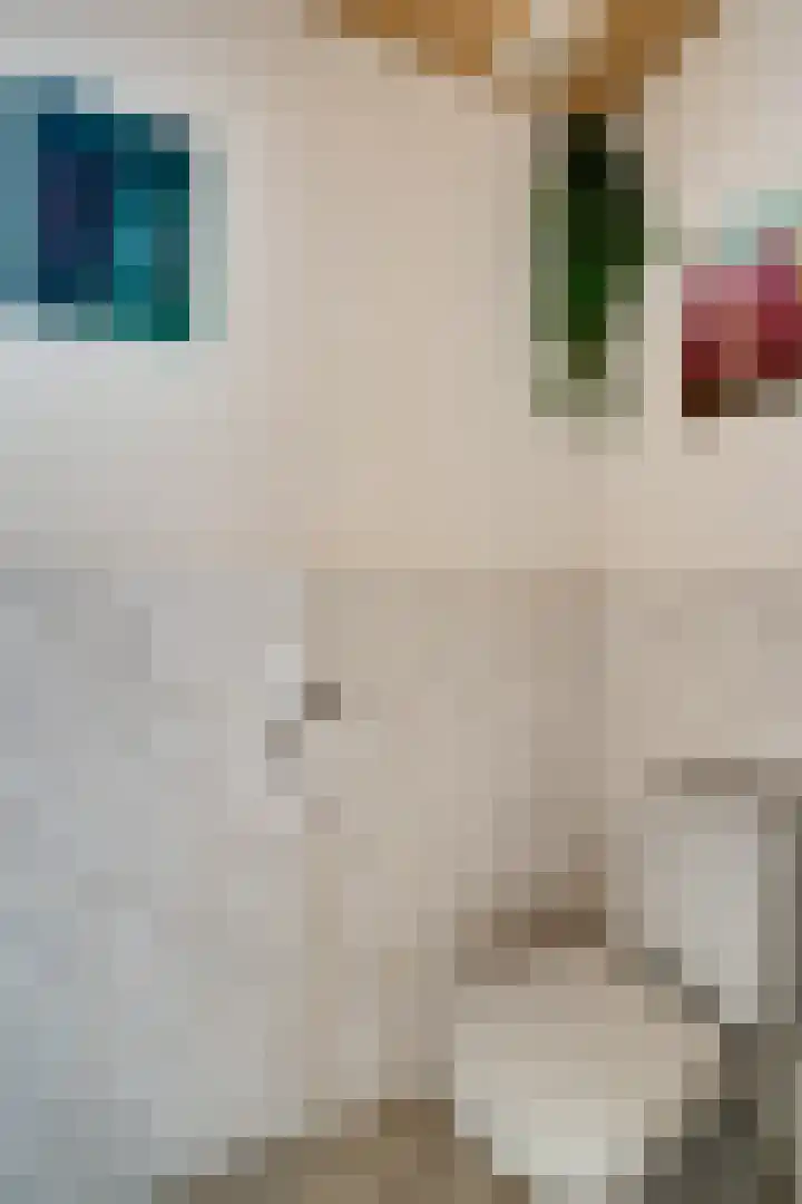 Peeskesweg 6 d Beek thumbnail 36