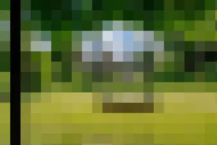Peeskesweg 6 d Beek thumbnail 56