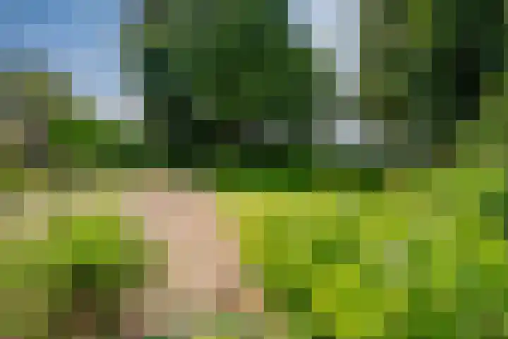 Peeskesweg 6 d Beek thumbnail 57