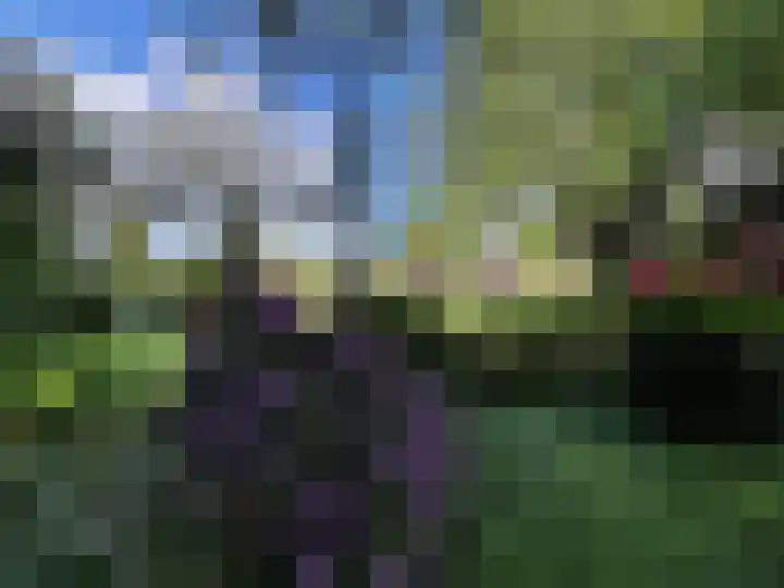 Peeskesweg 6 d Beek thumbnail 58